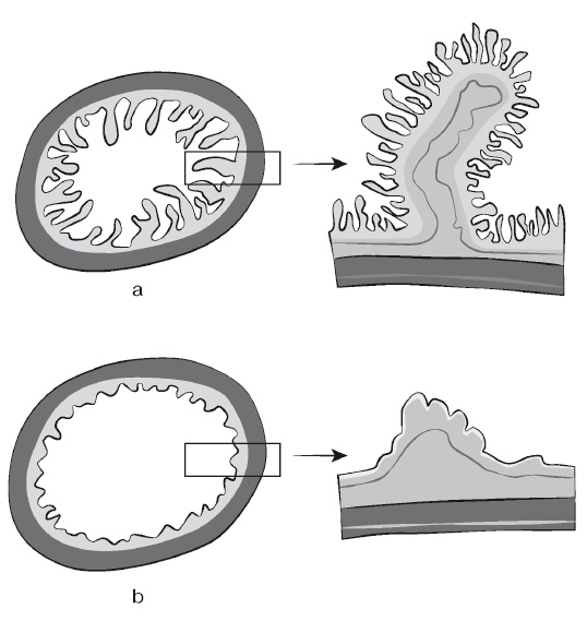 Иллюстрация к книге — Европейское исследование. Бады, витамины, ГМО, биопродукты [i_017.jpg]