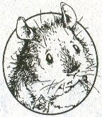 Иллюстрация к книге — Хомяк Фредди. Операция "Х" [i_002.jpg]