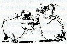 Иллюстрация к книге — Хомяк Фредди. Операция "Х" [i_006.jpg]