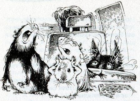 Иллюстрация к книге — Хомяк Фредди. Операция "Х" [i_011.jpg]