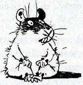 Иллюстрация к книге — Хомяк Фредди. Операция "Х" [i_014.jpg]