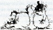 Иллюстрация к книге — Хомяк Фредди. Операция "Х" [i_018.jpg]