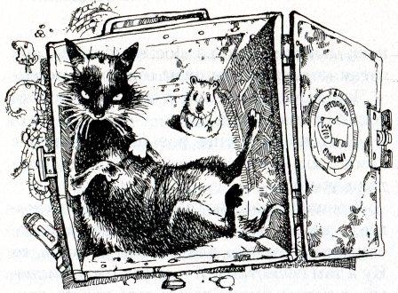 Иллюстрация к книге — Хомяк Фредди. Операция "Х" [i_019.jpg]