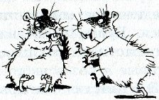 Иллюстрация к книге — Хомяк Фредди. Операция "Х" [i_020.jpg]