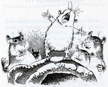 Иллюстрация к книге — Хомяк Фредди. Операция "Х" [i_024.jpg]