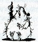 Иллюстрация к книге — Хомяк Фредди. Операция "Х" [i_028.jpg]