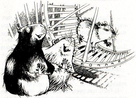 Иллюстрация к книге — Хомяк Фредди. Операция "Х" [i_030.jpg]