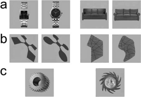 Иллюстрация к книге — 100 новых главных принципов дизайна. Как удержать внимание [_1.jpg]