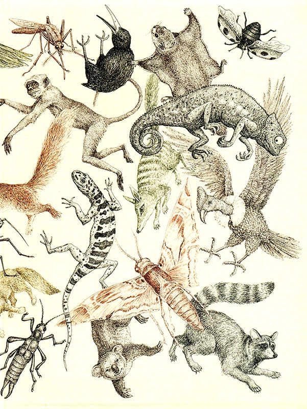 Иллюстрация к книге — Однажды в Новом Мире [i_002.jpg]