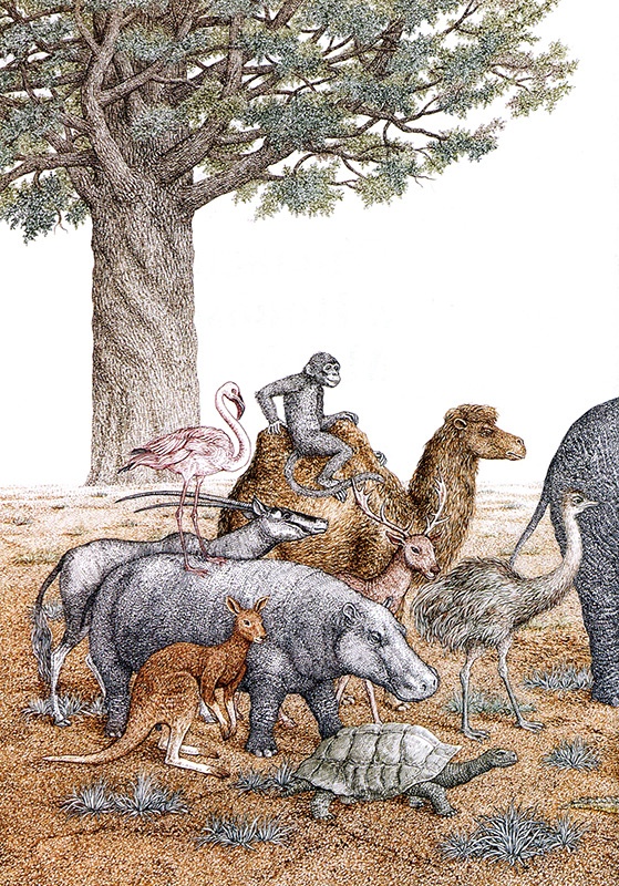 Иллюстрация к книге — Однажды в Новом Мире [i_003.jpg]