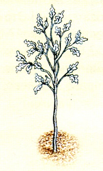 Иллюстрация к книге — Однажды в Новом Мире [i_005.jpg]