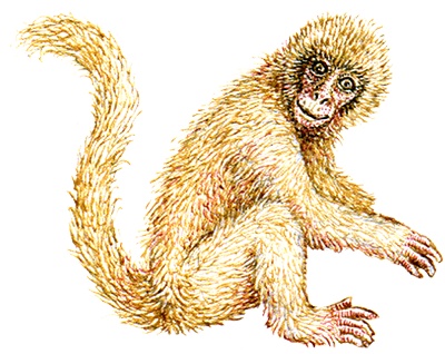 Иллюстрация к книге — Однажды в Новом Мире [i_009.jpg]