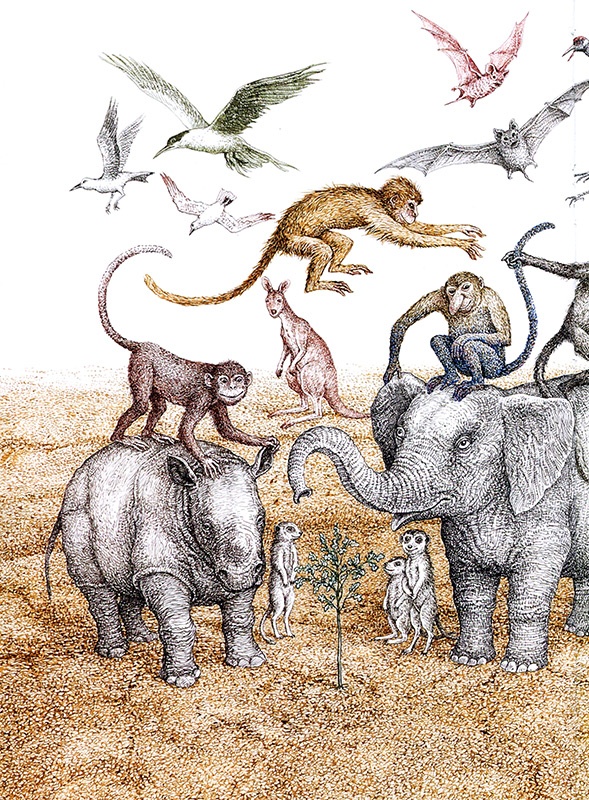 Иллюстрация к книге — Однажды в Новом Мире [i_010.jpg]