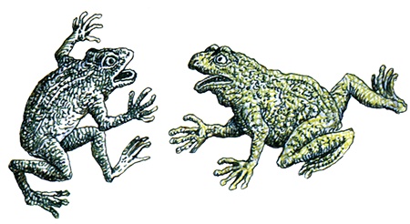 Иллюстрация к книге — Однажды в Новом Мире [i_019.jpg]