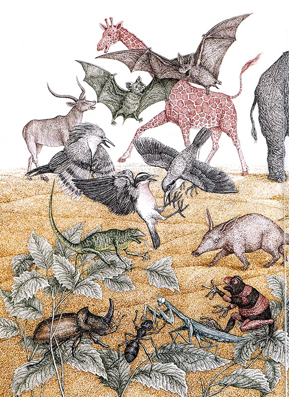 Иллюстрация к книге — Однажды в Новом Мире [i_020.jpg]