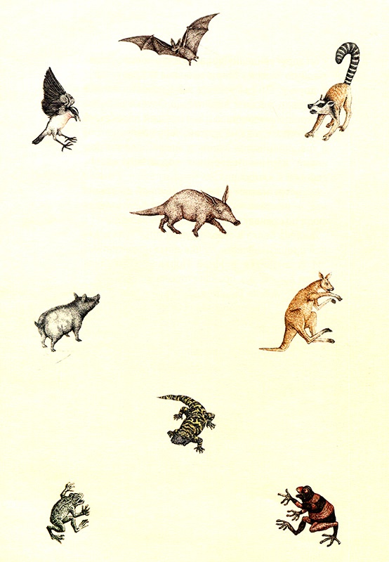 Иллюстрация к книге — Однажды в Новом Мире [i_027.jpg]