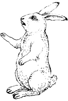 Иллюстрация к книге — Однажды в Новом Мире [i_030.jpg]