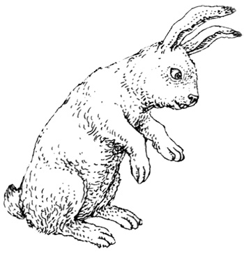 Иллюстрация к книге — Однажды в Новом Мире [i_035.jpg]