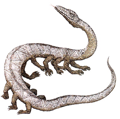 Иллюстрация к книге — Однажды в Новом Мире [i_036.jpg]