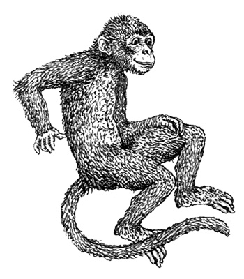 Иллюстрация к книге — Однажды в Новом Мире [i_037.jpg]