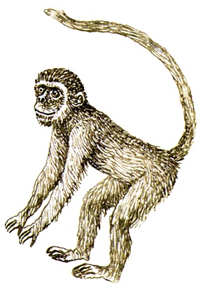 Иллюстрация к книге — Однажды в Новом Мире [i_038.jpg]