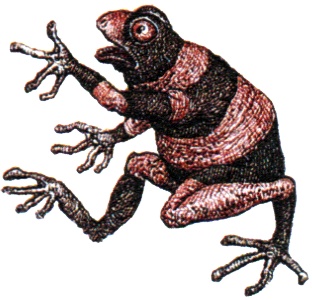 Иллюстрация к книге — Однажды в Новом Мире [i_043.jpg]