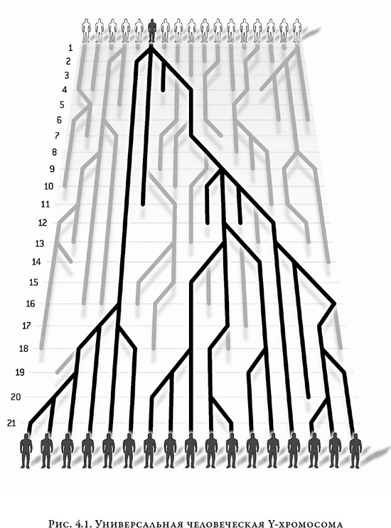 Иллюстрация к книге — На заре человечества. Неизвестная история наших предков [i_004.jpg]
