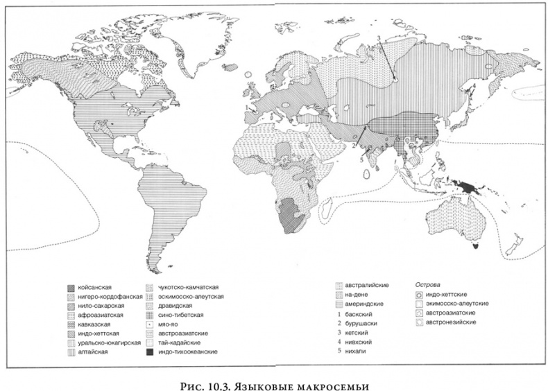 Иллюстрация к книге — На заре человечества. Неизвестная история наших предков [i_014.jpg]