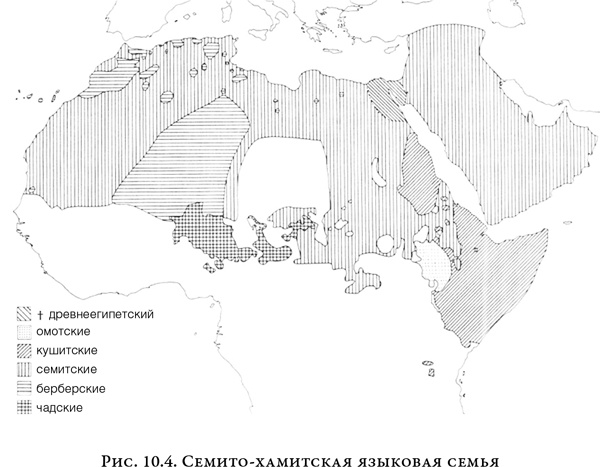Иллюстрация к книге — На заре человечества. Неизвестная история наших предков [i_015.jpg]