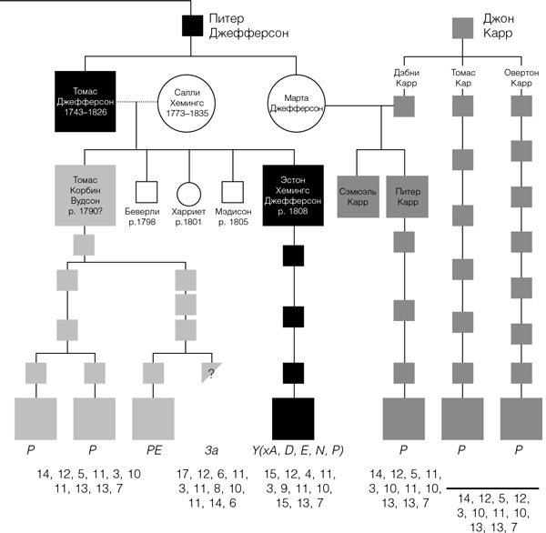 Иллюстрация к книге — На заре человечества. Неизвестная история наших предков [i_019.jpg]