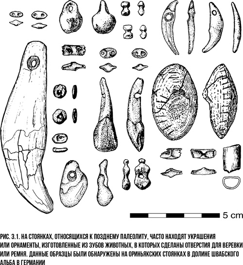 Иллюстрация к книге — Захватчики: Люди и собаки против неандертальцев [i_002.jpg]