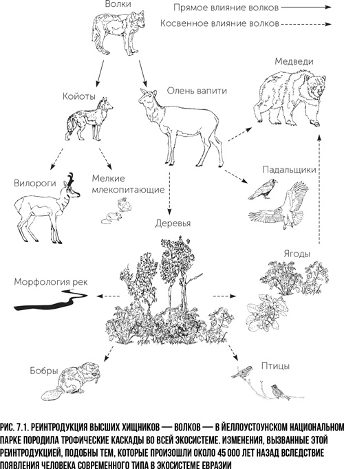 Иллюстрация к книге — Захватчики: Люди и собаки против неандертальцев [i_006.jpg]