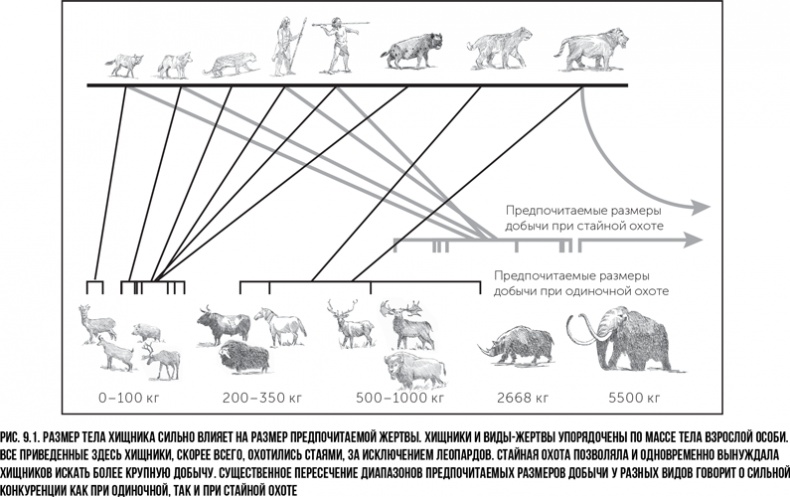 Иллюстрация к книге — Захватчики: Люди и собаки против неандертальцев [i_013.jpg]