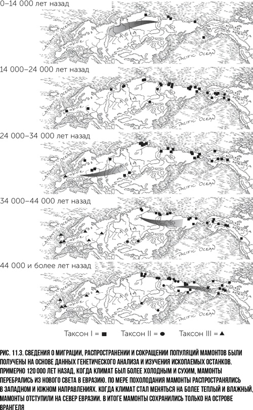 Иллюстрация к книге — Захватчики: Люди и собаки против неандертальцев [i_019.jpg]