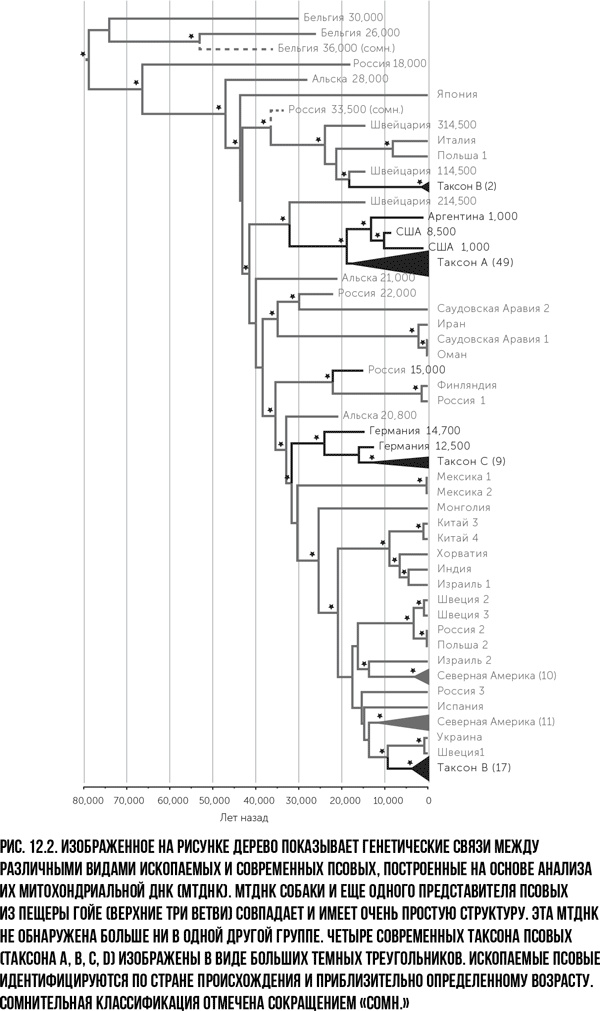 Иллюстрация к книге — Захватчики: Люди и собаки против неандертальцев [i_021.jpg]