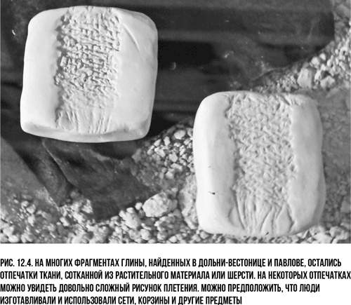 Иллюстрация к книге — Захватчики: Люди и собаки против неандертальцев [i_023.jpg]