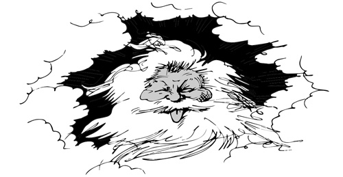 Иллюстрация к книге — Как начать жить и не облажаться [i_002.jpg]