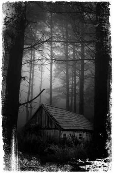 Иллюстрация к книге — Чужие скелеты [i_001.jpg]