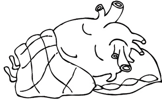 Иллюстрация к книге — Тук-тук, сердце! Как подружиться с самым неутомимым органом и что будет, если этого не сделать [i_027.jpg]