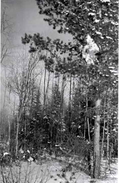 Иллюстрация к книге — Советская военная разведка. Как работала самая могущественная и самая закрытая разведывательная организация ХХ века [i_040.jpg]