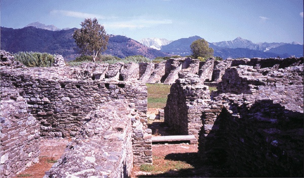 Иллюстрация к книге — Люди Севера: История викингов, 793–1241 [i_017.jpg]