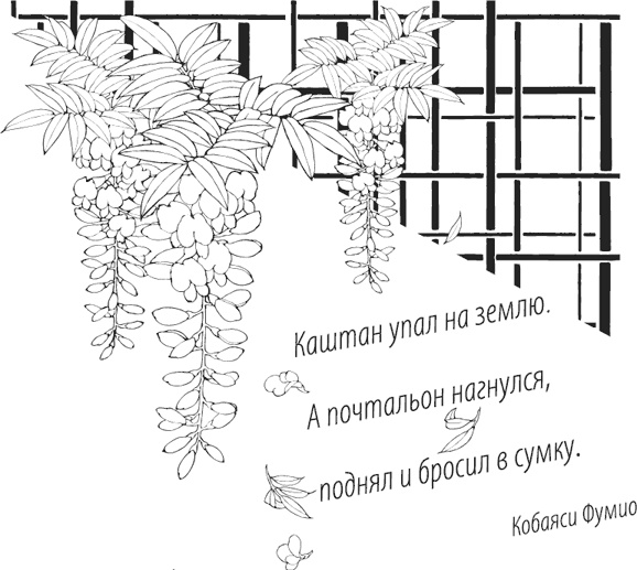 Иллюстрация к книге — Memento. Книга перехода [i_031.jpg]