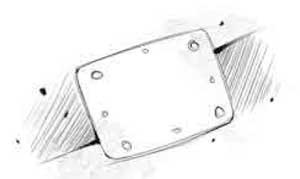 Иллюстрация к книге — Пардус. Книга 5. Восставшая из пепла [i_006.jpg]