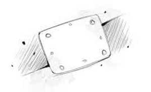 Иллюстрация к книге — Пардус. Книга 5. Восставшая из пепла [i_015.jpg]