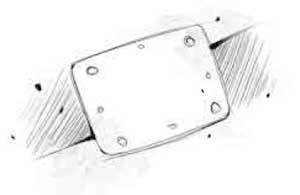 Иллюстрация к книге — Пардус. Книга 5. Восставшая из пепла [i_026.jpg]