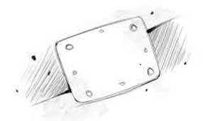 Иллюстрация к книге — Пардус. Книга 5. Восставшая из пепла [i_040.jpg]