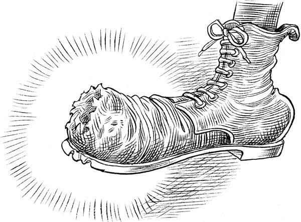 Иллюстрация к книге — Юная леди Гот и грозовые псы [_105.jpg]