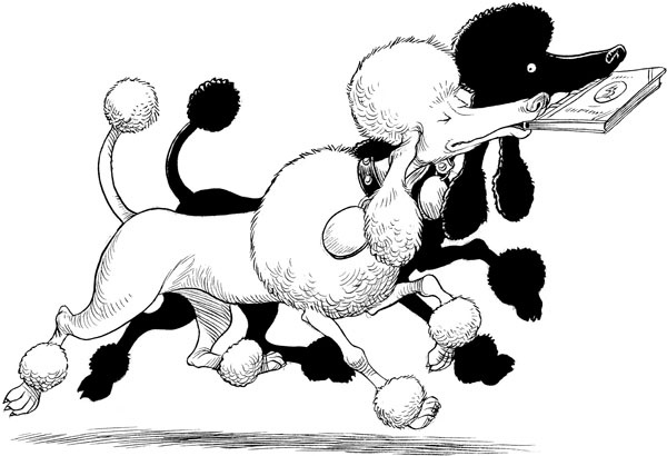 Иллюстрация к книге — Юная леди Гот и грозовые псы [_192.jpg_0.jpg]