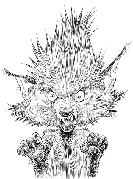 Иллюстрация к книге — Юная леди Гот и грозовые псы [_213.jpg]