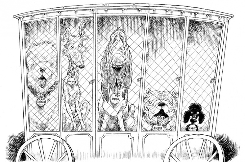 Иллюстрация к книге — Юная леди Гот и грозовые псы [_63.jpg]